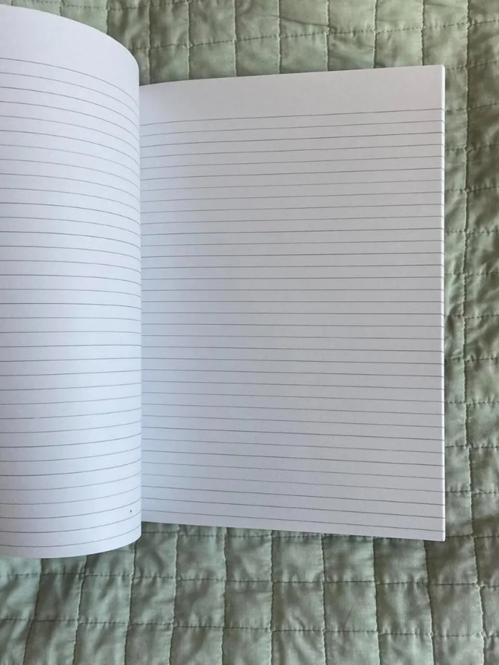 The Regrettes Further Joy Notebook